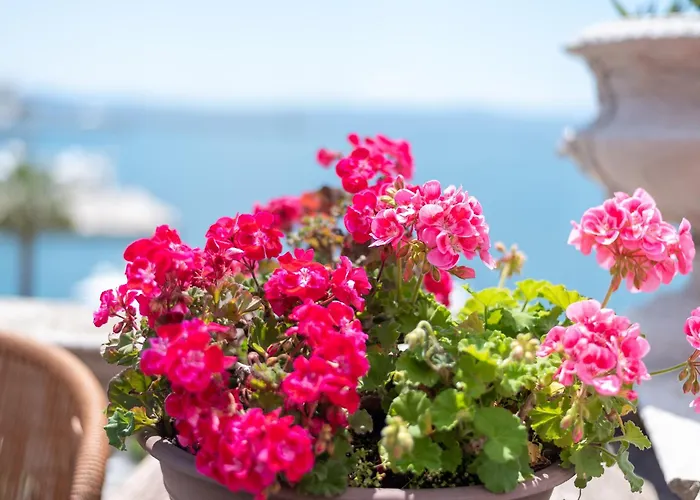 Riva Luxury דירה ספליט