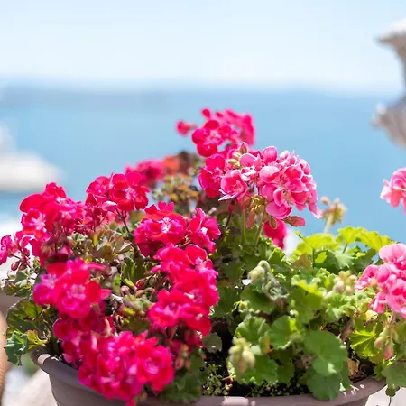 Riva Luxury Apartmán Split